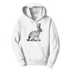 PC Youth Fan Favorite Hooded Sweatshirt Thumbnail