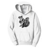 PC Youth Fan Favorite Hooded Sweatshirt Thumbnail