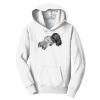 PC Youth Fan Favorite Hooded Sweatshirt Thumbnail