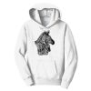 PC Youth Fan Favorite Hooded Sweatshirt Thumbnail