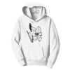 PC Youth Fan Favorite Hooded Sweatshirt Thumbnail