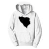 PC Youth Fan Favorite Hooded Sweatshirt Thumbnail