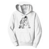 PC Youth Fan Favorite Hooded Sweatshirt Thumbnail