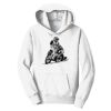 PC Youth Fan Favorite Hooded Sweatshirt Thumbnail