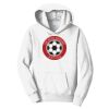 PC Youth Fan Favorite Hooded Sweatshirt Thumbnail