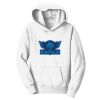 PC Youth Fan Favorite Hooded Sweatshirt Thumbnail