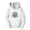 PC Youth Fan Favorite Hooded Sweatshirt Thumbnail