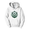 PC Youth Fan Favorite Hooded Sweatshirt Thumbnail