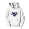PC Youth Fan Favorite Hooded Sweatshirt Thumbnail