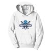 PC Youth Fan Favorite Hooded Sweatshirt Thumbnail