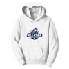 PC Youth Fan Favorite Hooded Sweatshirt Thumbnail