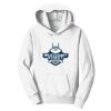 PC Youth Fan Favorite Hooded Sweatshirt Thumbnail