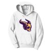 PC Youth Fan Favorite Hooded Sweatshirt Thumbnail