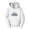 PC Youth Fan Favorite Hooded Sweatshirt Thumbnail