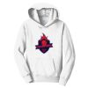 PC Youth Fan Favorite Hooded Sweatshirt Thumbnail