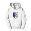PC Youth Fan Favorite Hooded Sweatshirt Thumbnail