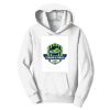 PC Youth Fan Favorite Hooded Sweatshirt Thumbnail