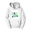 PC Youth Fan Favorite Hooded Sweatshirt Thumbnail