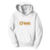 PC Youth Fan Favorite Hooded Sweatshirt Thumbnail