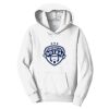 PC Youth Fan Favorite Hooded Sweatshirt Thumbnail