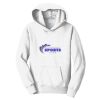 PC Youth Fan Favorite Hooded Sweatshirt Thumbnail