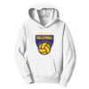 PC Youth Fan Favorite Hooded Sweatshirt Thumbnail