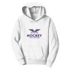 PC Youth Fan Favorite Hooded Sweatshirt Thumbnail