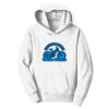 PC Youth Fan Favorite Hooded Sweatshirt Thumbnail