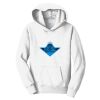 PC Youth Fan Favorite Hooded Sweatshirt Thumbnail