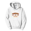 PC Youth Fan Favorite Hooded Sweatshirt Thumbnail