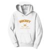 PC Youth Fan Favorite Hooded Sweatshirt Thumbnail