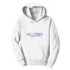 PC Youth Fan Favorite Hooded Sweatshirt Thumbnail