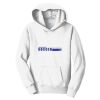 PC Youth Fan Favorite Hooded Sweatshirt Thumbnail