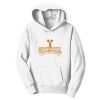 PC Youth Fan Favorite Hooded Sweatshirt Thumbnail