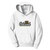 PC Youth Fan Favorite Hooded Sweatshirt Thumbnail