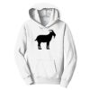 PC Youth Fan Favorite Hooded Sweatshirt Thumbnail