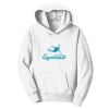 PC Youth Fan Favorite Hooded Sweatshirt Thumbnail