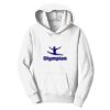PC Youth Fan Favorite Hooded Sweatshirt Thumbnail