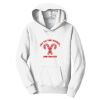 PC Youth Fan Favorite Hooded Sweatshirt Thumbnail